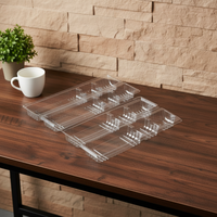 Boîtes de transport pour plantes en PET transparent rectangulaires de 0,3 mm d'épaisseur