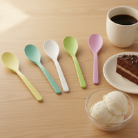 Cuillères à dessert, cuillères à thé et cuillères à glace jetables écologiques en CPLA compostable sans plastique pour usage quotidien et festif