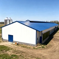 Bâtiment avicole à structure en acier économique pour l'élevage de poulets de chair et de poules pondeuses avec revêtement anticorrosion