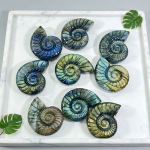 Vente en gros <span class=keywords><strong>de</strong></span> <span class=keywords><strong>pierres</strong></span> <span class=keywords><strong>de</strong></span> guérison en labradorite ammonite fossile, artisanat en cristal naturel <span class=keywords><strong>de</strong></span> haute qualité, sculpté à la main, créatif, pour la décoration - Product Image 5