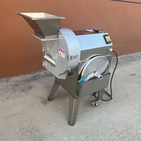 Automatische groentesnijder, aardappelchips-snijmachine, plantain/bananen-snijmachine, citroensnijmachine