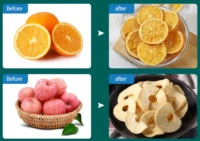 Volledig automatische sorteer-, snij-, was-, vacuümdroog- en snelvrieslijn voor groenten en fruit met PLC-pomp en energiebesparing