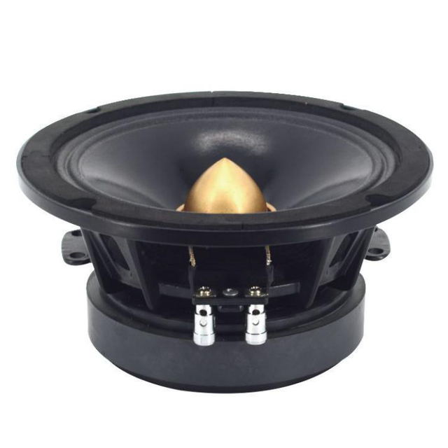 CA Series Car Midrange Speaker 6.5" 8" 10" 150W 200W 250W Car Audio Midrange Speaker