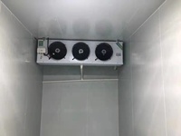 Ventilateur de dégivrage électrique haute performance Ruitong pour chambre froide de type toit, chambre de congélation, chambre de réfrigération, chambre froide de plain-pied