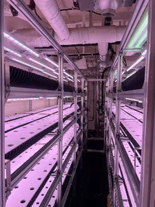 Contenedor Climatizado Integrado para Hortalizas de Hoja Verde - Unidad Agrícola para Producción de Vegetales Frescos para Uso en Embarcaciones - Product Image 5