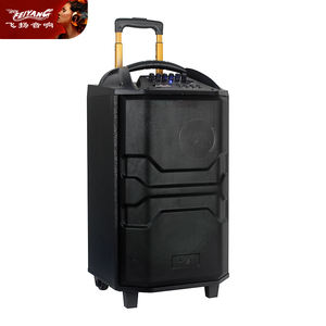 MIC Street Dancing Mobile PORTABLE En Bois Multimédia Unique 12 Pouces Mobile BT ACTIVE DJ PA Karaoké KARAOKE Audio Haut-Parleur - Product Image 1