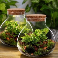 Vente en gros de terrarium sphérique en verre fait main avec couvercle en liège, pour micro-paysages de mousse, plantes succulentes, fougères et plantes aériennes