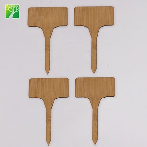 Offre Spéciale herbe bricolage naturel bonsaï herbe jardin kit de démarrage pour la décoration - Product Image 4