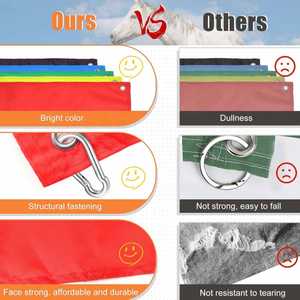 2023 Diseño Personalizado Colorido 100% Poliéster Asta Telescópica Retráctil Manual para Guía Turístico, Enseñanza y Adiestramiento de Caballos con Bandera - Product Image 4