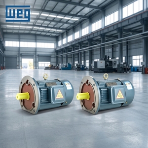 Moteur à faible consommation d'énergie Weg W21 W22 W20 22KW 30KW 37KW 45KW 55KW 75KW 90KW 110KW OEM/ODM pour équipement industriel général - Product Image 6