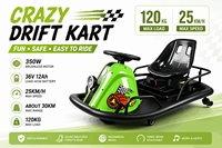 Kart électrique Crazy Cart avec moteur brushless 350W, fabriqué en usine OEM, avec minuteur commercial, pour drift, destiné aux parcs d'attractions