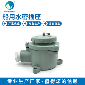 Interruptor Hermético Bozhou Marine Z-2MA 792807 con Enchufe, Enchufes y Tomas de Primera Calidad - Product Image 5
