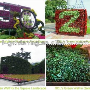 นำเข้าสินค้าราคาถูกจากจีน กระถางปลูกต้นไม้ติดผนังแนวตั้ง - Product Image 3