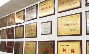 2024 nuovo tè verde biologico Chunmee 41022 migliore qualità effetto dimagrante disponibile in 25G 100G & 250G imballaggi per adulti - Product Image 5