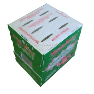 Fruit & Vegetable Corrugated Plastic Packaging Box