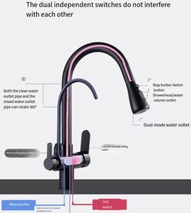 <strong>Matte</strong> <strong>Black</strong> Dual Handle 3-in-1 Water Filter Purifier Kitchen Sink Faucet Flexible <strong>Pull</strong> Sprayer Electroplated Modern Hotel Use - Product Image 2