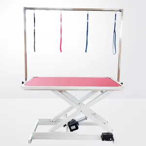 Wholesale Large Thickened Steel Frame Beauty Table Pet Grooming Table Electric Lifting Dog Grooming Table