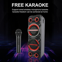 SING-E ZQS1328X Enceinte DJ professionnelle double 8 pouces en bois avec lampe RGB, 2 microphones sans fil, remise d'usine, grand karaoké