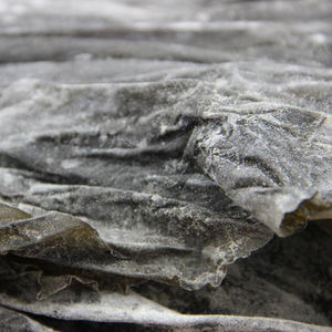 Vente en gros de Kelp – Algue séchée naturelle fraîche de haute qualité – <span class=keywords><strong>Algues</strong></span> marines séchées Kombu Laminaria Japonica - Product Image 5