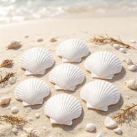 Coquilles Saint-Jacques blanches naturelles, grandes coquilles de mer propres pour l'artisanat, la décoration de mariage, la décoration d'aquarium, matériel de bricolage