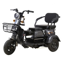 Tricycle électrique pas cher à trois roues avec pneus larges de 8 pouces, scooter électrique deux places à carrosserie ouverte, tension 48V