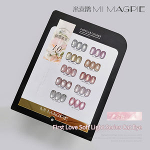 Unique Design 10 Colors Cat Eye Gel <b>Nail</b> <b>Set</b> Box with Free Color Book OEM ODM Private Label Cateye Gel Polish <b>Set</b> AILANUO Newest - Product Image 4