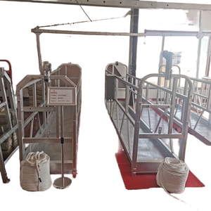 Plataforma Suspendida ZLP800 de 800 kg / Elevador de Plataforma para Construcción ZLP630 ZLP800 ZLP1000 Plataforma de 800 kg ZLP630 ZL - Product Image 6