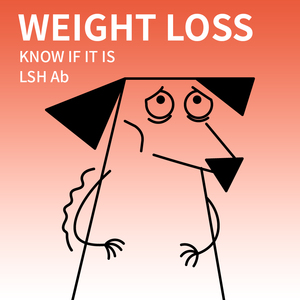 Bộ xét nghiệm nhanh kháng thể Leishmania Canine C.LSH Ab dành cho chó - Product Image 5