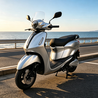Moto électrique personnalisée à deux roues, voiture électrique, vélo électrique, scooter électrique à deux roues pour adultes, moto électrique
