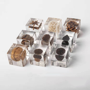 Reçine zanaat koleksiyonu gömülü gerçek böcek kağıt ağırlığı biyolojik hayvan kristal örnekleri - Product Image 4