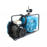 Compresseur d'air portable 100L pour lutte contre les incendies, 30 bars, prix direct fabricant, compresseur d'air mobile pour SCBA, vente en gros