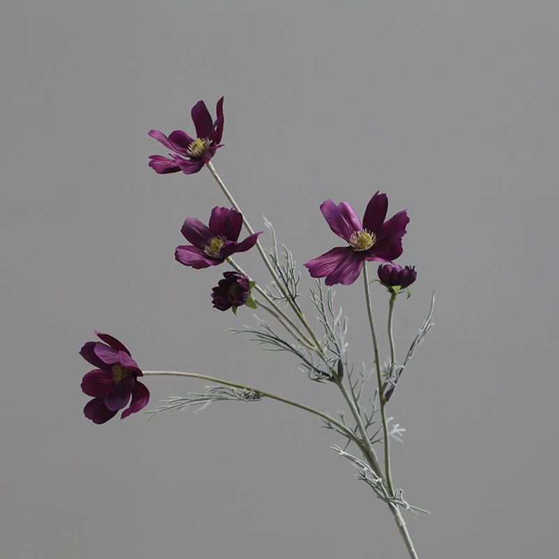 Violet foncé