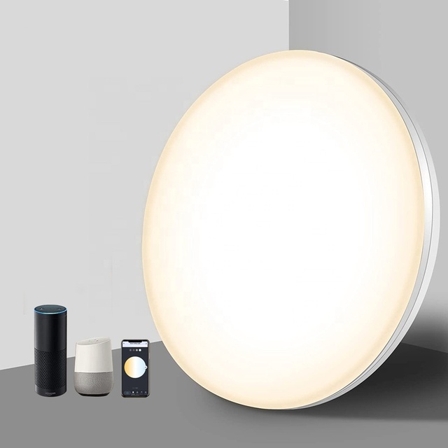 24W Homekit Wifi Voice APP Alexa Tuya Remote Control Bedroom Indoor Led Ceiling Lighting Smart Home Light