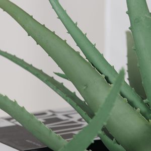 Plante artificielle Dream Castle, Aloe Vera succulente verte, branche unique, bouquet, décoration d'intérieur, ornement de bureau, plantes artificielles - Product Image 4