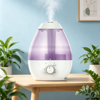 Diffuseur d'huiles essentielles à ultrasons, humidificateur ionisant multifonctionnel, barre d'oxygène, veilleuse portable pour voiture, bureau, hôtel