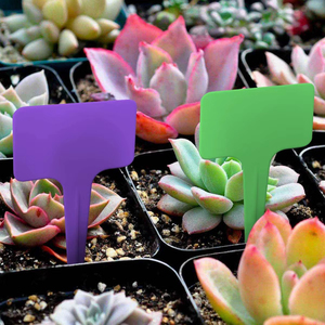 Etiqueta de Plástico Grueso para Plantas, Tipo T, Multicolor, para Jardín, Vivero, Marcador de Flores - Product Image 5
