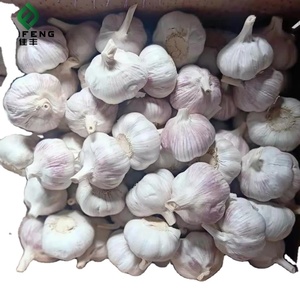 Oignons frais triés standard rouges et jaunes, vente en gros économique auprès d'un fournisseur chinois - Product Image 6