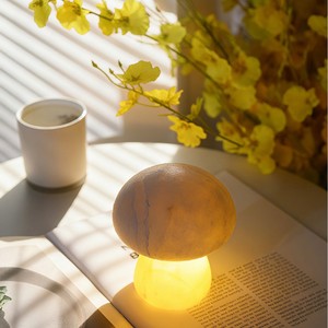 Mushroom Night Light Led Warm White Tap <b>Control</b> <b>Usb</b> Powered For Bedroom Decor - Product Image 1