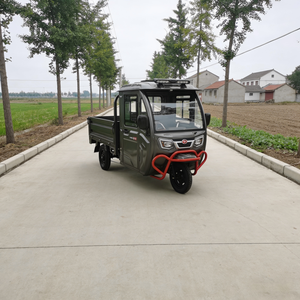 Triciclo Cerrado de Tres Ruedas con Capacidad de Carga de 400 kg, Motor de 60 V, Capacidad para 2 Pasajeros, Certificado por la CEE, 30-50 km/h, Autonomía de 50-70 km - Product Image 2