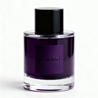 Parfum en gros, rebranding de cosmétiques, parfum frais, 100 ml, eau de parfum en spray, parfum longue durée, unisexe, emballage personnalisé avec logo