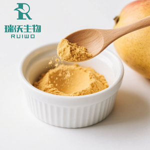 Per uso alimentare naturale sapore di frutta succo istantaneo in polvere 1kg MOQ puro estratto di Mango per bevande e bevande - Product Image 6
