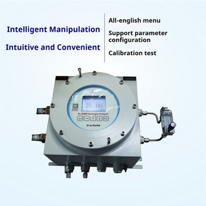 Runlai Fast Response E200Ex Explosion Proof Analyzer Digital LCD Display Customizable Gas Detector - Product Image 3