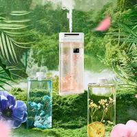 Diffuseur d'air sans eau rechargeable par USB Diffuseur d'arômes d'huiles essentielles sans eau Nébuliseur à ultrasons Diffuseur portable pour la maison