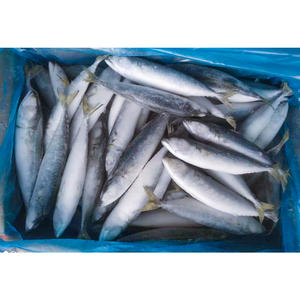 جولة كاملة أو HG طازجة ومباشرة من مصنع الصين بمصدر سائب - Product Image 3