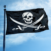 Drapeau de pirate 3x5 pieds, Jolly Roger avec cache-œil et épées croisées, bannière en polyester double face pour décoration extérieure de bar ou de man cave
