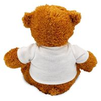 Dernière collection en gros d'ours en peluche de haute qualité 15cm/20cm/25cm avec T-shirt