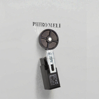 Interrupteur de sécurité de type porte électrique étanche IP65 250V 10A série LEA-P149 en gros