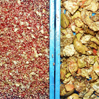 Automatische Roestvrijstalen Granaatappelhuid Verwijderen Machine Peeling Perszaden Separator Deseparatie Voor Fruitverwerking