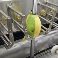 Hoge kwaliteit citroen- en mangoschilmachine/ Automatische roestvrijstalen ananas- en mangoschilmachine