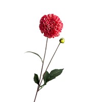 Sutra Berkualitas Tinggi Sentuhan Lembut Melembapkan Dahlia Berkepala Dua Tangkai Tunggal Ramah Lingkungan Pernikahan Rumah Hari Ibu